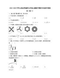 2022-2023学年上海市青浦区九年级上册数学期末专项提升模拟卷（卷一卷二）含解析