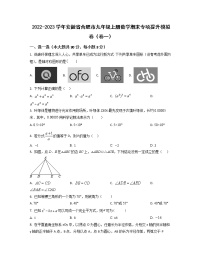 2022-2023学年安徽省合肥市九年级上册数学期末专项提升模拟卷（卷一卷二）含解析