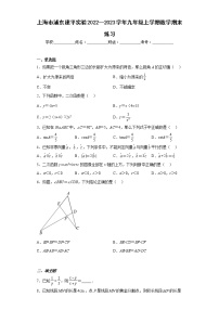 上海市浦东建平实验2022--2023学年九年级上学期数学期末练习