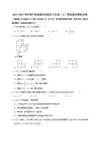 四川省成都市武侯区2022-2023学年九年级上学期期末数学模拟试卷(含答案)