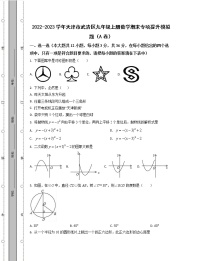 2022-2023学年天津市武清区九年级上册数学期末专项提升模拟题（AB卷）含解析