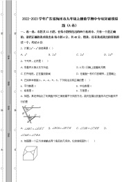 2022-2023学年广东省梅州市九年级上册数学期中专项突破模拟题（AB卷）含解析