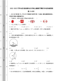 2022-2023学年山东省诸城市九年级上册数学期末专项突破模拟题（AB卷）含解析