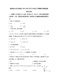 湘教版湖南省永州市零陵区2021-2022学年七年级上学期期末质量监测数学试卷(含答案)