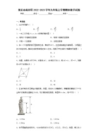 重庆市南岸区2022-2023学年九年级上学期期末数学试题(含答案)