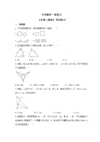 中考数学一轮复习《全等三角形》导向练习（含答案）