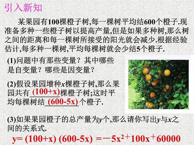 北师大版数学九年级下册 第二章 2.1二次函数 课件03