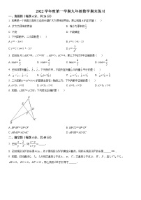 2022-2023学年上海市浦东建平实验九年级上学期数学期末考练习含详解