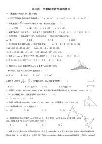 山东省日照市泰安路中学2022-2023学年八年级上学期数学期末巩固练习(含答案)