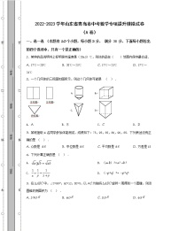 2022-2023学年山东省青岛市中考数学专项提升模拟试卷（AB卷）含解析