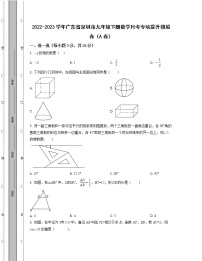 2022-2023学年广东省深圳市九年级下册数学月考专项提升模拟卷（AB卷）含解析