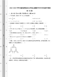 2022-2023学年安徽省淮南市九年级上册数学月考专项提升模拟卷（AB卷）含解析