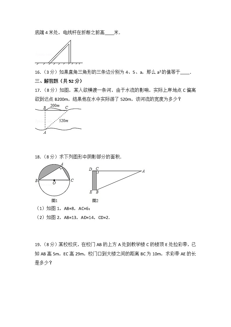 北师大版数学八上第1章 测试卷（2）  (1)第3页