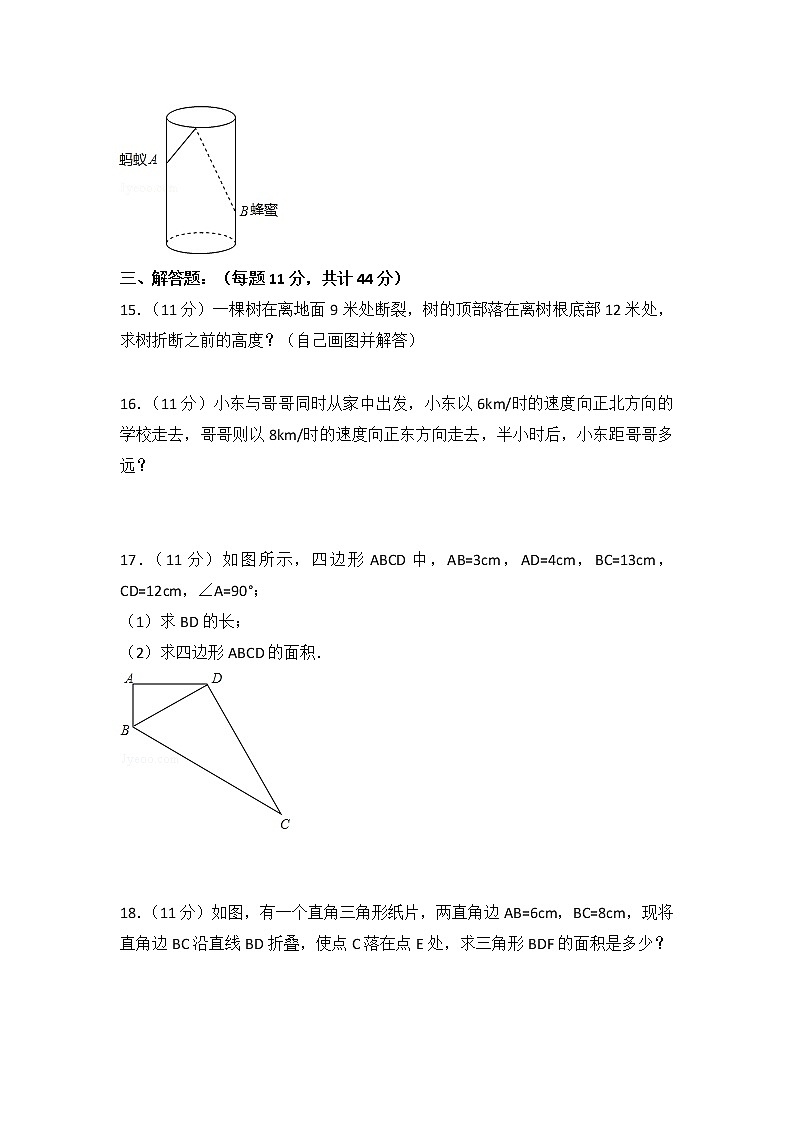 北师大版数学八上第1章 测试卷（2）  (2)第3页