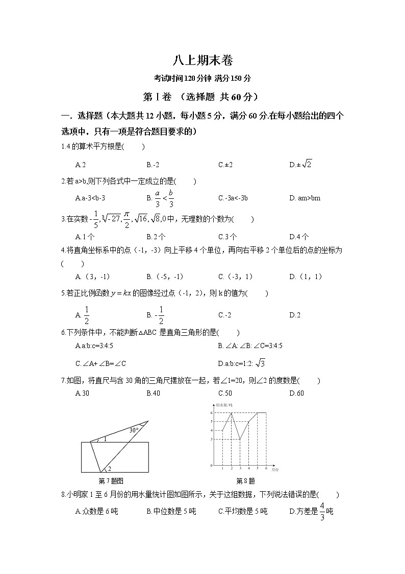 北师大版数学八上期末卷（2）01