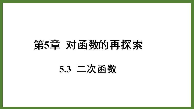 5.3二次函数 课件2022-2023学年青岛版九年级数学下册第1页