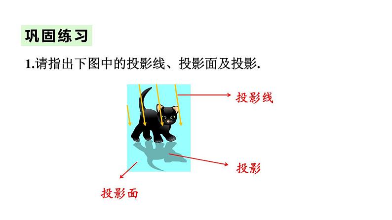 8.2平行投影 课件2022-2023学年青岛版九年级数学下册07