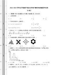 2022-2023学年辽宁省葫芦岛市九年级下册专项突破提升试卷（AB卷）含解析