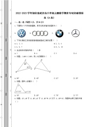 2022-2023学年湖北省武汉市八年级上册数学期末专项突破模拟卷（AB卷）含解析