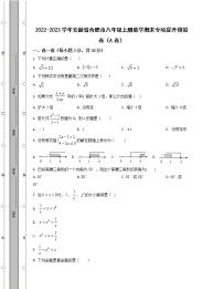 2022-2023学年安徽省合肥市八年级上册数学期末专项提升模拟卷（AB卷）含解析