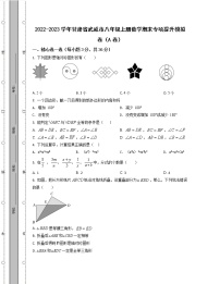 2022-2023学年甘肃省武威市八年级上册数学期末专项提升模拟卷（AB卷）含解析