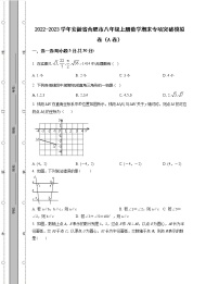 2022-2023学年安徽省合肥市八年级上册数学期末专项突破模拟卷（AB卷）含解析