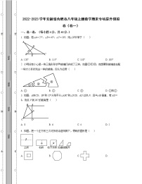 2022-2023学年安徽省合肥市八年级上册数学期末专项提升模拟卷（卷一卷二）含解析