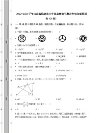 2022-2023学年山东省临沂市八年级上册数学期末专项突破模拟卷（AB卷）含解析