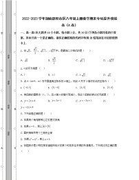 2022-2023学年湖南邵阳市区八年级上册数学期末专项提升模拟卷（AB卷）含解析