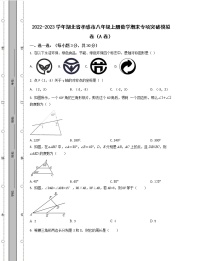 2022-2023学年湖北省孝感市八年级上册数学期末专项突破模拟卷（AB卷）含解析