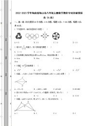 2022-2023学年海南省海口市八年级上册数学期末专项突破模拟卷（AB卷）含解析