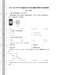 2022-2023学年广东省韶关市八年级上册数学期末专项突破模拟卷（AB卷）含解析