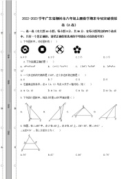 2022-2023学年广东省潮州市八年级上册数学期末专项突破模拟卷（AB卷）含解析