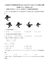 江苏师范大学附属实验学校2021-2022学年七年级3月月考数学试题（含解析）