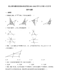 连云港市灌南县新知双语学校2021-2022学年七年级3月月考数学试题（含解析）