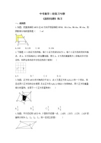 中考数学二轮复习专题《面积问题》练习(含答案)