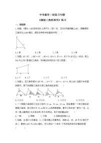 中考数学二轮复习专题《相似三角形探究》练习(含答案)