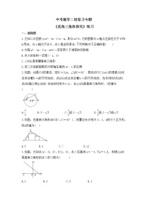 中考数学二轮复习专题《直角三角形探究》练习(含答案)