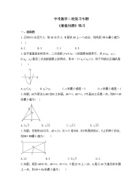 中考数学二轮复习专题《最值问题》练习(含答案)