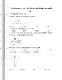 广东省深圳市2022-2023学年八年级上册数学期末专项突破模拟（卷一卷二）含解析