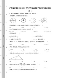 广东省深圳市2022-2023学年八年级上册数学期末专项提升模拟（卷一卷二）含解析