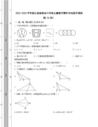 2022-2023学年浙江省余姚市八年级上册数学期中专项提升模拟题（AB卷）含解析