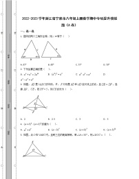 2022-2023学年浙江省宁波市八年级上册数学期中专项提升模拟题（AB卷）含解析