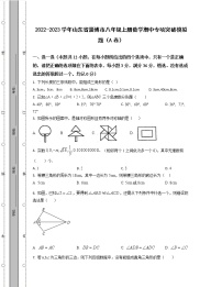 2022-2023学年山东省淄博市八年级上册数学期中专项突破模拟题（AB卷）含解析