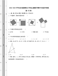 2022-2023学年山东省淄博市八年级上册数学期中专项提升模拟题（AB卷）含解析