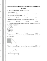 2022-2023学年吉林省四平市八年级上册数学期末专项突破模拟题（AB卷）含解析