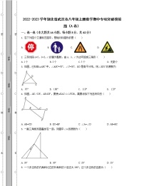 2022-2023学年湖北省武汉市八年级上册数学期中专项突破模拟题（AB卷）含解析