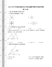 2022-2023学年湖北省武汉市八年级上册数学期中专项提升模拟题（AB卷）含解析