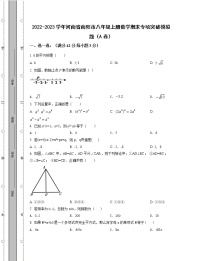 2022-2023学年河南省南阳市八年级上册数学期末专项突破模拟题（AB卷）含解析