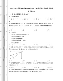 2022-2023学年河南省南阳市八年级上册数学期末专项提升模拟题（卷一卷二）含解析